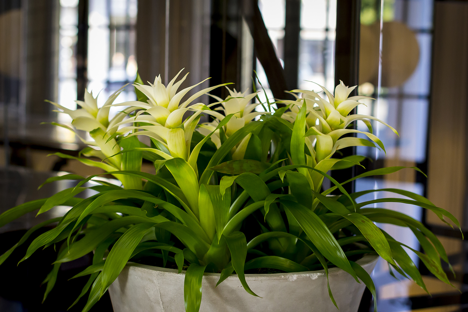 Historical Kolonade Building Turns into a Restaurant – RESTORATION | AS ...